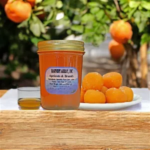 Blue Ridge Jams Apricots and Brandy Gourmet Jam