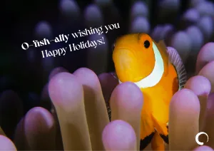 Clownfish Holiday Card   Oceanic Global Recognition