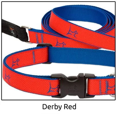 Derby-Red Club Collar