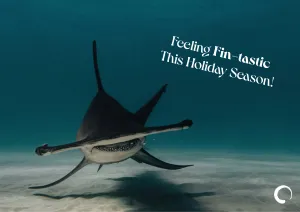 Fin-tastic Shark Holiday Card   Oceanic Global Recognition