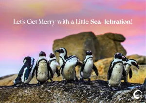 Merry Penguins Holiday Card   Oceanic Global Recognition