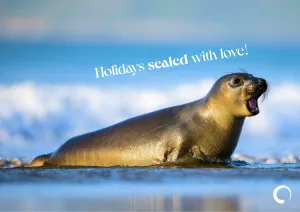 Seal-ed with Love Holiday Card   Oceanic Global Recognition