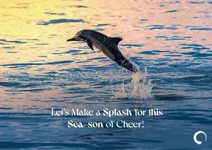 Splashing Dolphin Holiday Card   Oceanic Global Recognition