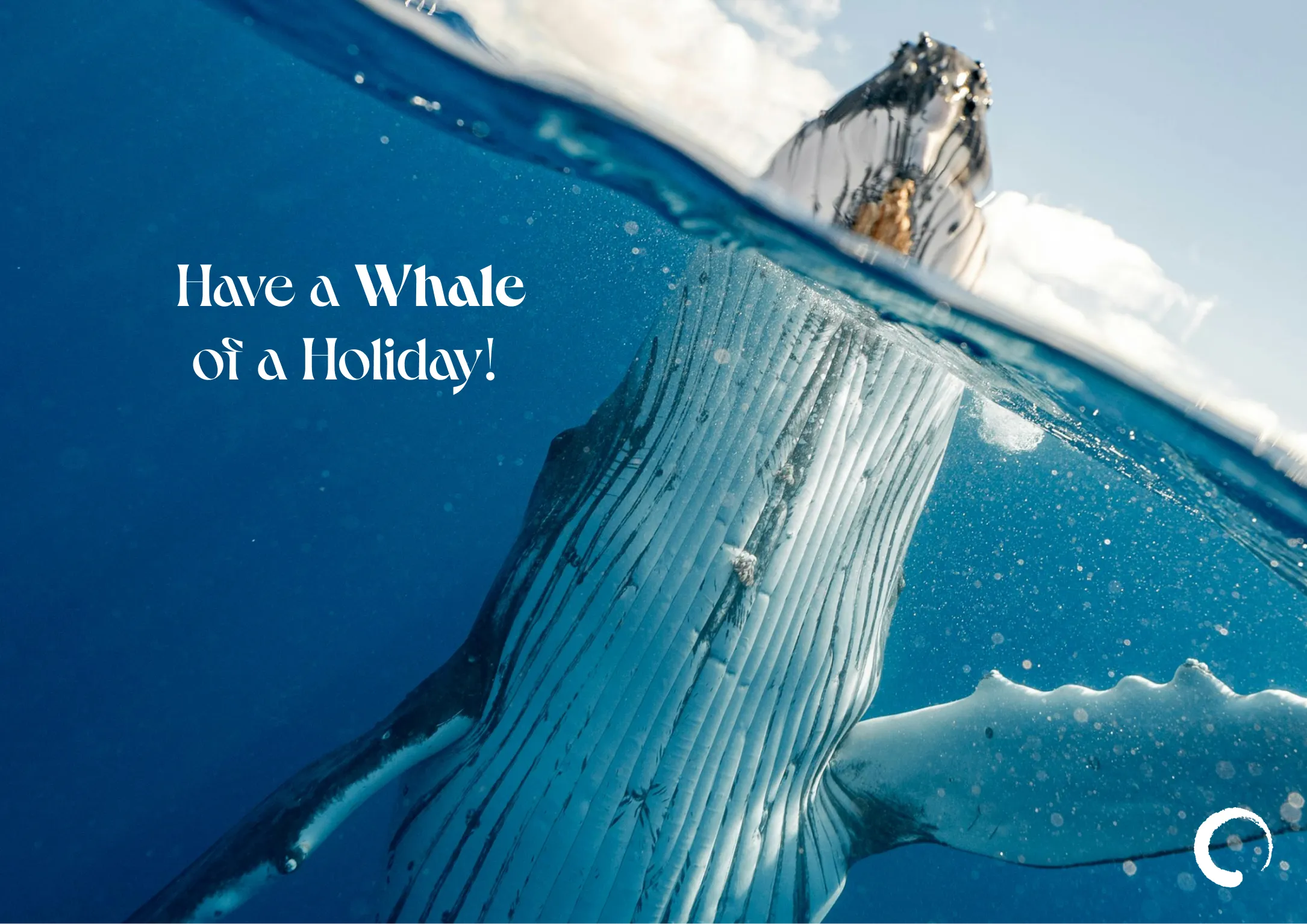 Whale of a Holiday Card   Oceanic Global Recognition